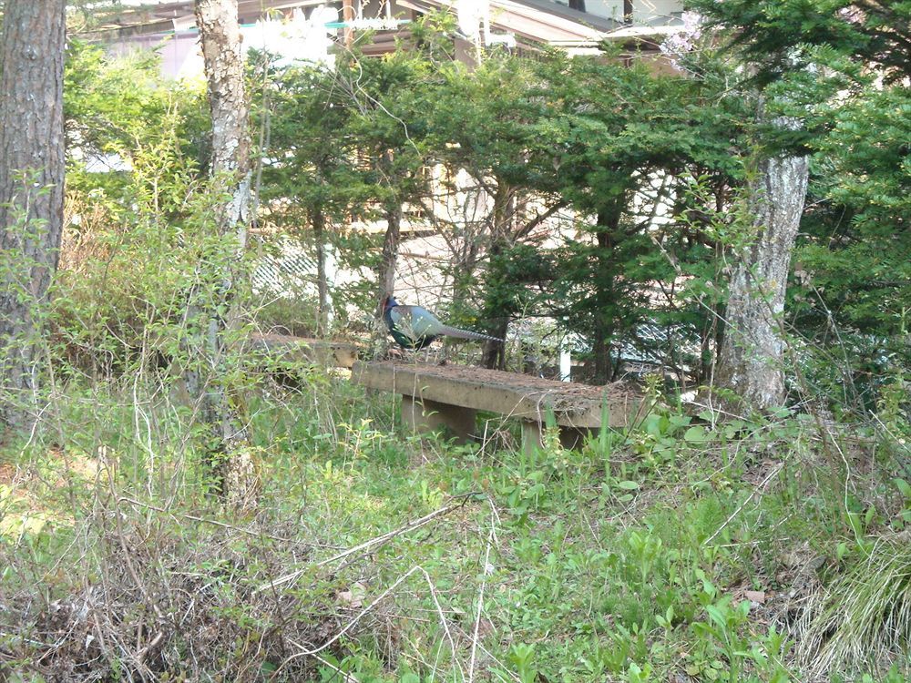 Hida Gasshoen 高山 外观 照片