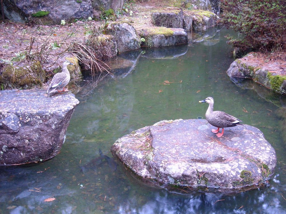 Hida Gasshoen 高山 外观 照片