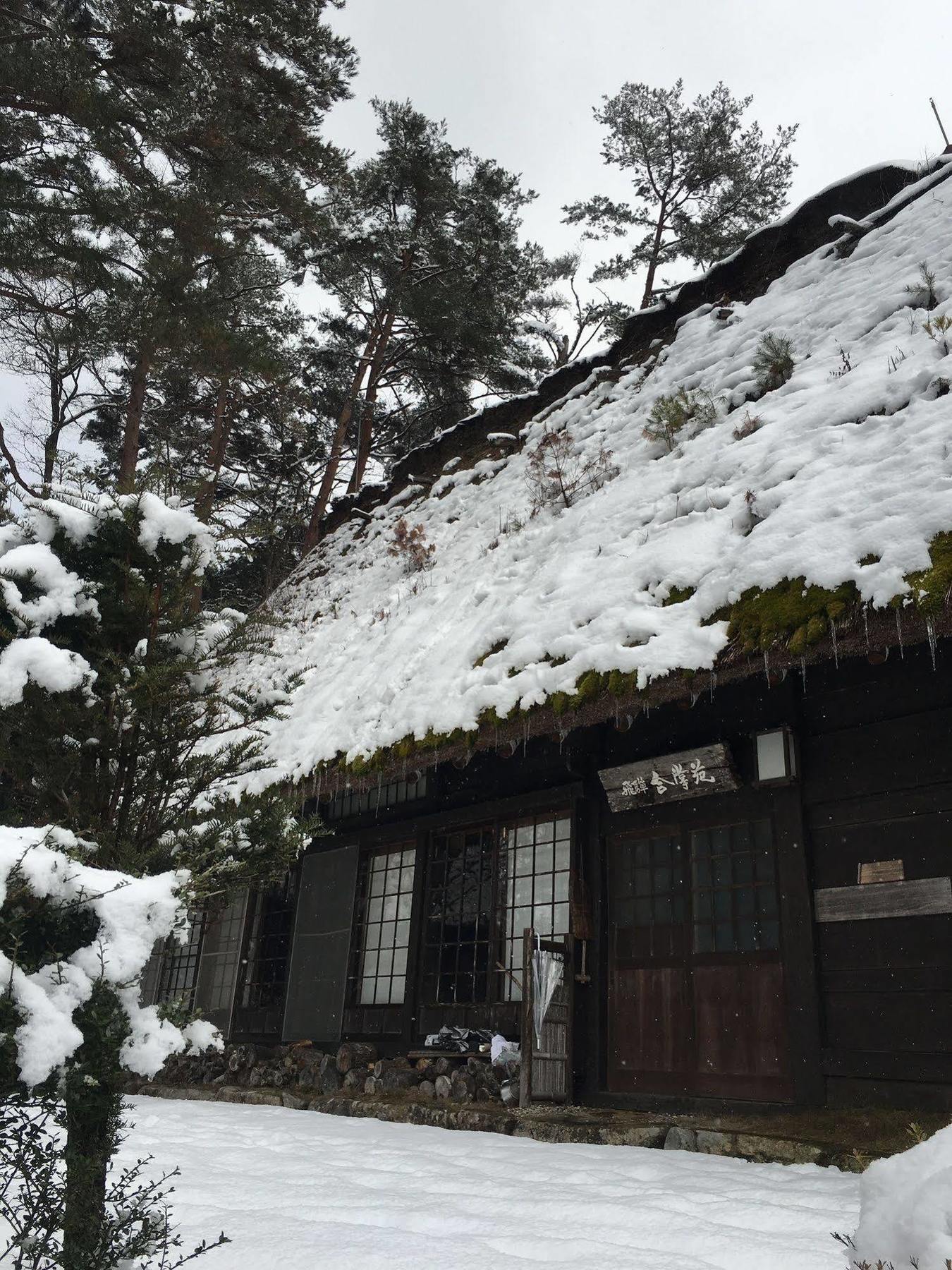 Hida Gasshoen 高山 外观 照片